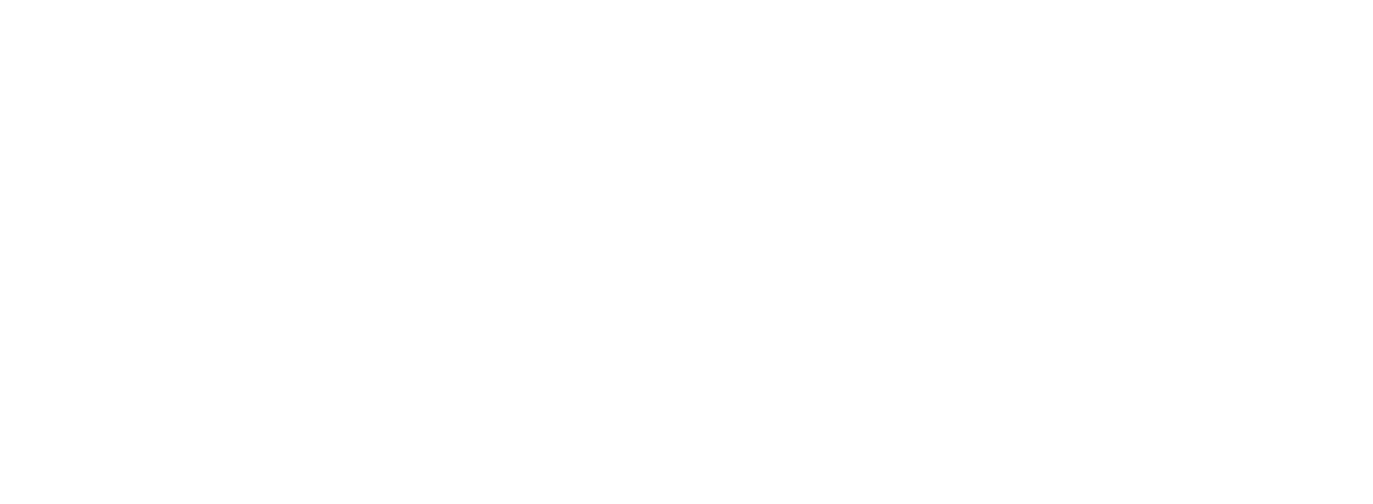 Hela Audit